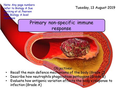 Primary Secondary Non Specific Immune Responses Defence Mechanisms