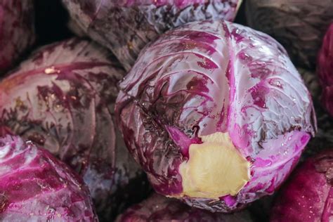 Red Cabbage | Nelson Family Farms