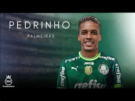 Pedrinho Bem Vindo Ao Palmeiras Amazing Skills Goals Assists