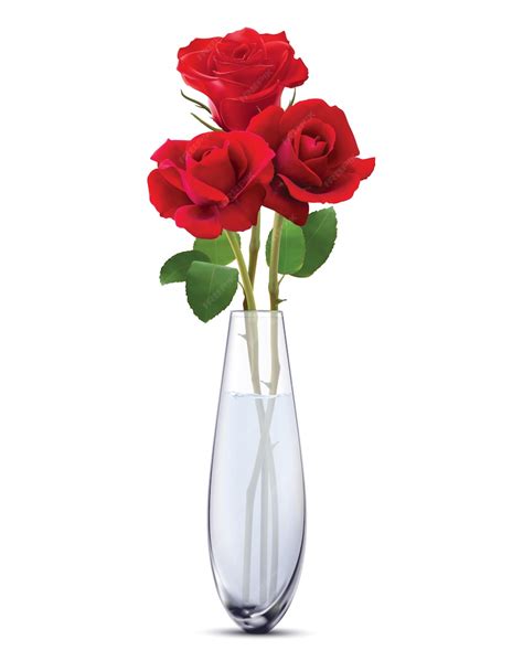 Premium Vector Roses In A Glass Vase Isolated Realistic Vector 3d