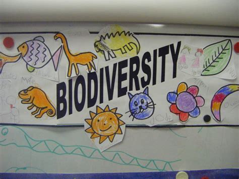 Green School Project: Biodiversity Poster Competition