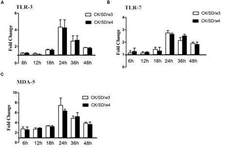 Frontiers The Mrna And Proteins Expression Levels Analysis Of Tc