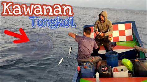 Full Strike Mancing Rintak Dapat Kawanan Ikan Tongkol Youtube