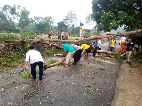 Hujan Angin Sebabkan Pohon Tumbang Di Parakansalak Bpbd Kabupaten