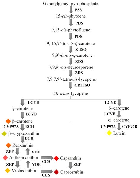 Ijms Free Full Text Putative Transcription Factor Genes Associated