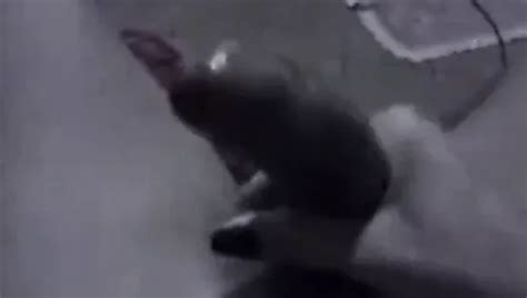 Sexo Gostoso A Boneca Free Gay Movies Porn Video C Xhamster