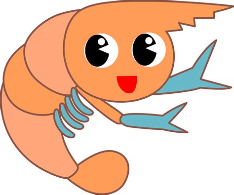 Cute Shrimp Cartoon