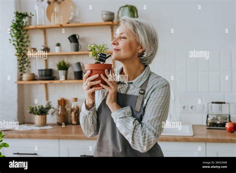 Mature Woman Smelling Rosemary Plant In Kitchen At Home Stock Photo Alamy