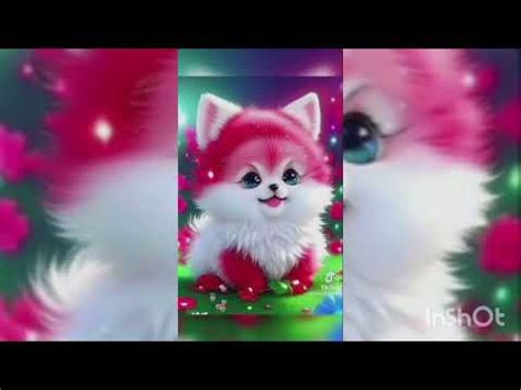 Cute dogs (Animals Videos) - YouTube