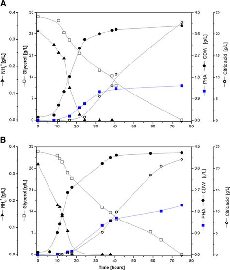 Fermentation Profile Of P Putida Kt2440 A And Δ Phaz Mutant Strain