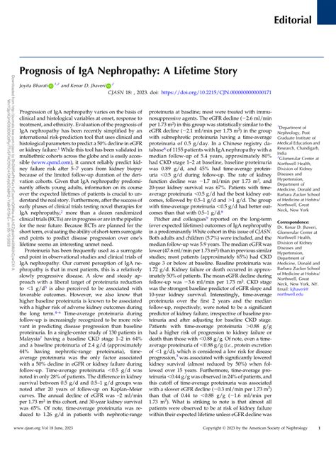 (PDF) Prognosis of IgA Nephropathy: A Lifetime Story