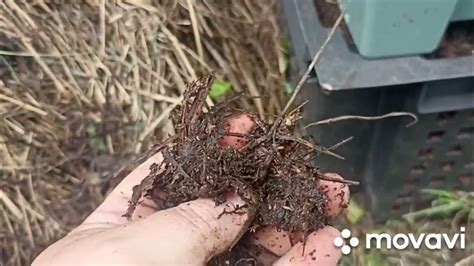 ТРАКТОРНАЯ ТЕЛЕГА КОМПОСТА ЗА КОПЕЙКИ ИЗ МУСОРА ЗА ГОД // ВАЦАП ДЛЯ ...