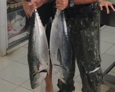 Quatro homens são detidos por pesca ilegal em unidade de conservação no