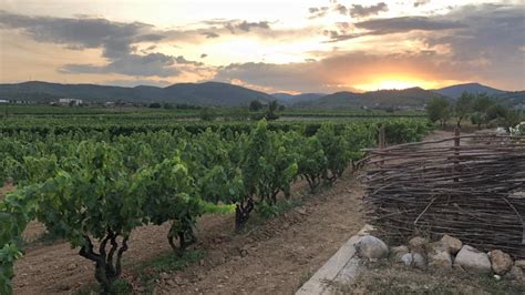 Onontdekt Spanje drink wijn met de locals in el Penedès