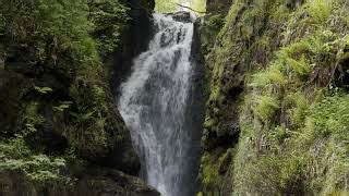 Glenariff Forest Park and Waterfalls County Antrim - Love Ireland