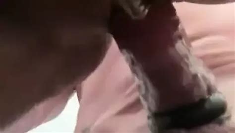 Indian Slut Wife Fucking White Bull South African Creampie Porn XHamster