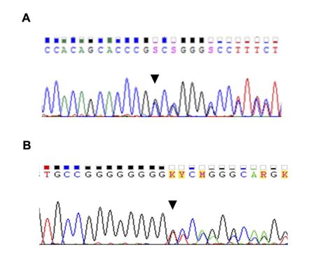 Fig S13 Supplementary Figure 13 Sanger Sequencing Of The TTLL10