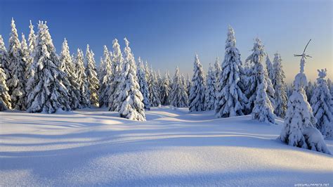 Nature Winter Wallpapers 67 Pictures Wallpaperset