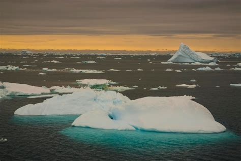 Premium Photo | Wild frozen landscape antarctic peninsula antarctica