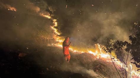 Incêndio consome 20 da vegetação do Parque Ursulina de Melo em BH