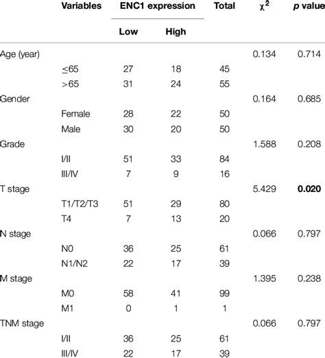 Correlation Between Enc Expression And Clinicopathological Features In