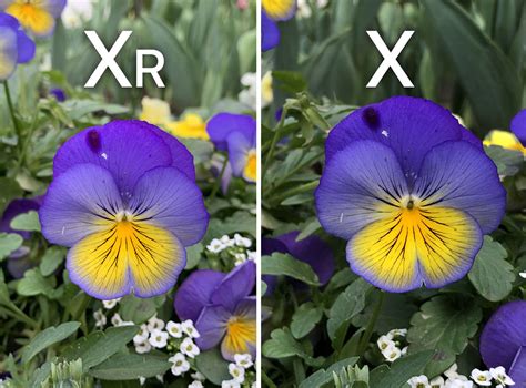 Что лучше айфон икс или икс эр