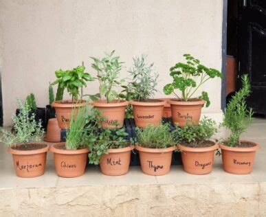 8 Effortless Herb Planter Box Ideas - Garden Patch