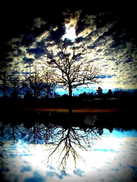 Upside Down Reflection In Pond By Brandinar On Deviantart