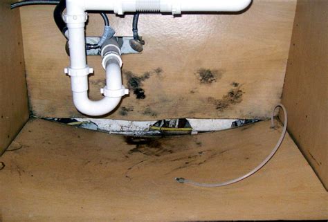 How To Get Rid Of Mold Under A Sink At Consuela Edward Blog