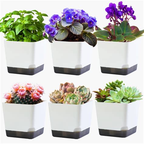 Amazon Oliz Inch Plant Pots Set Of White Small Plastic