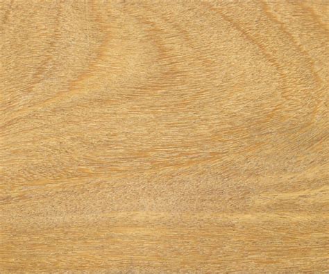 Tropical Hardwood Suppliers | International Timber