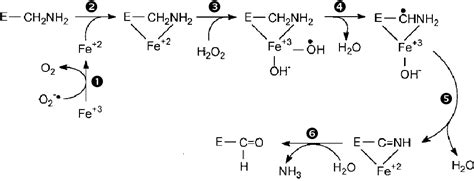 Figure From Caract Risation Physiologique Et Biochimique Du Processus