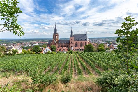 Exploring the Electoral Palatinate - Cityscape Travel