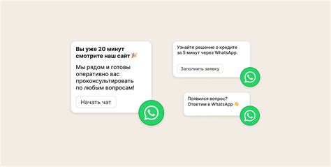 W—Target: Платформа WhatsApp-маркетинга