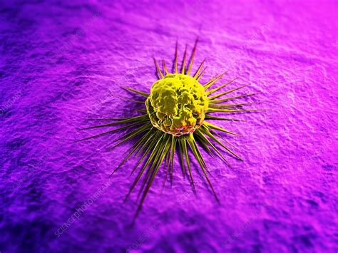 Cancer Cell Artwork Stock Image F006 2311 Science Photo Library