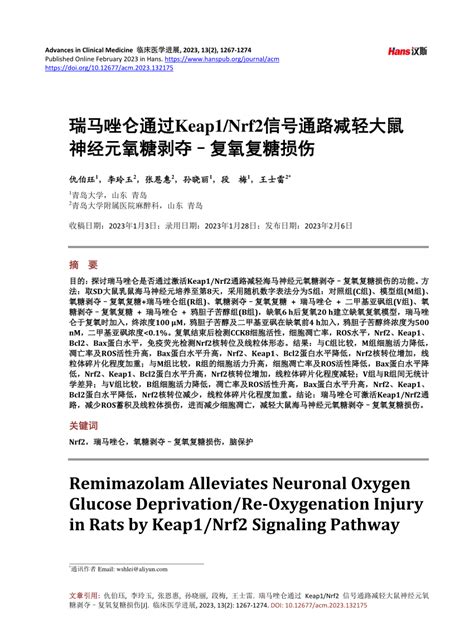 PDF Remimazolam Alleviates Neuronal Oxygen Glucose Deprivation Re