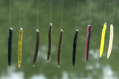 Best Lure Colors For Dirty Water With Underwater Proof The Bass