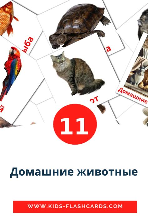 10 Бесплатных Карточек Домашние животные на Русском | PDF