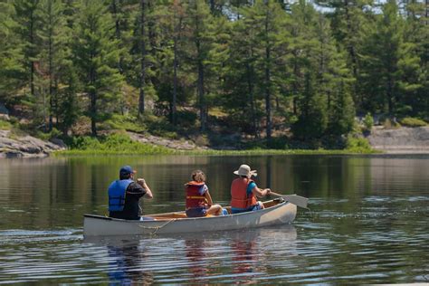 Planning a Camping Road Trip: Essential Tips for a Successful Adventure ...