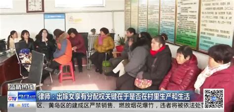 平度一村分配占地补偿款，出嫁女不享有分配权！你怎么看 青岛新闻网