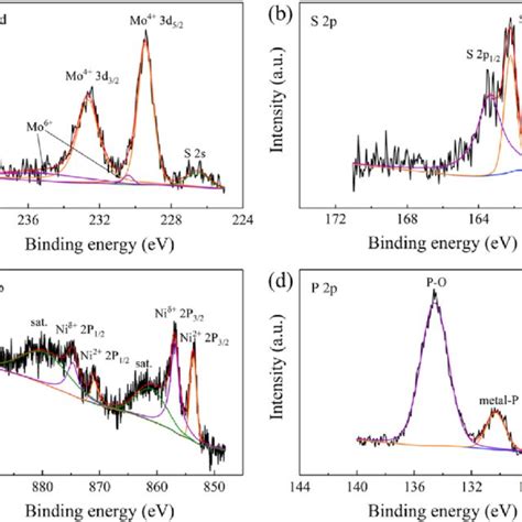 High Resolution Xps Spectra Of Mo 3d A S 2p B Ni 2p C And P 2p Download Scientific