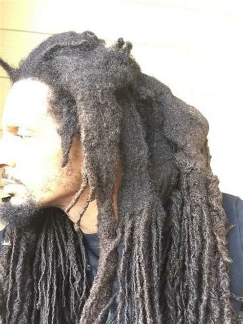 Pin By Connie On Hair Notes Natural Locs Dreadlock Hairstyles For