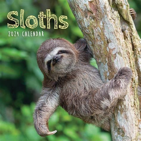 Sloth 2024 Calendar 2024 Calendar Lenka Suzette