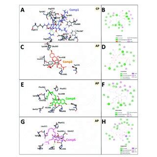 3D And 2D Binding Modes Of The Four Compounds With The Protein Obtained