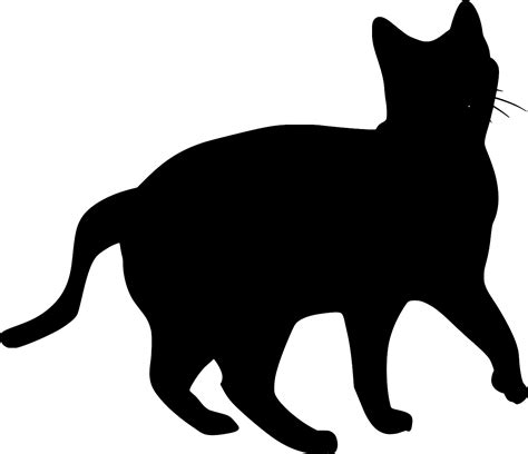 SVG Säugetier Katze Jäger entdeckt Kostenloses SVG Bild Symbol