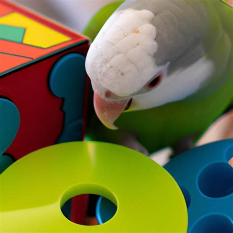 Quaker Parrot Talking: Unlocking the Language Skills of Your Feathered ...