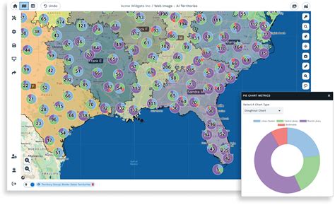 What Is a Map Chart? | Maptive