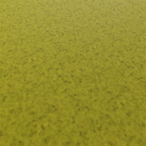 Fresh Short Grass Texture 2202 - LotPixel