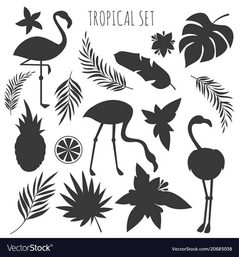 Grey Tropical Plants And Flamingos Silhouettes Vector Image