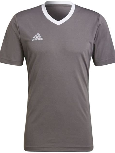 Koszulka M Ska Adidas Entrada Jersey Zielona Hi Odzie